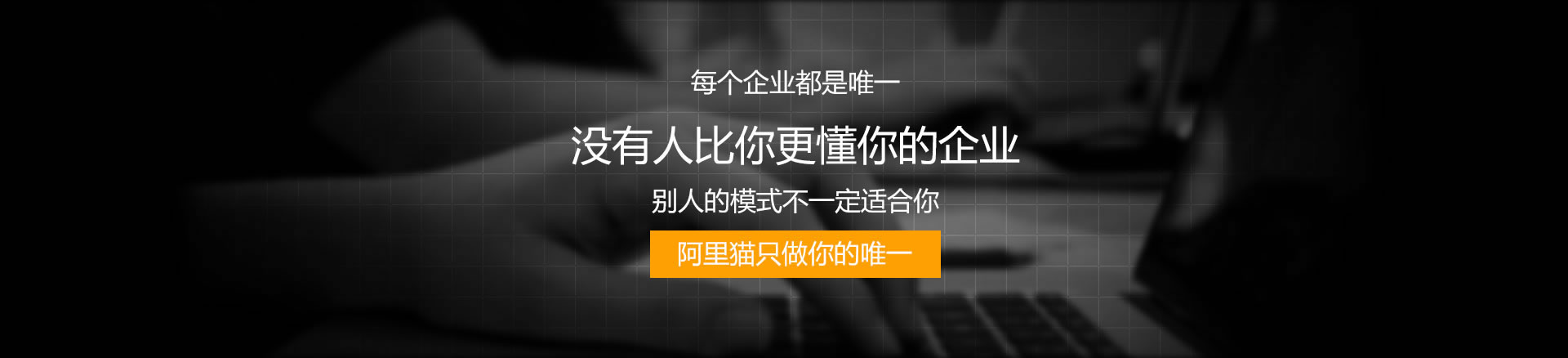 阿里貓專(zhuān)業(yè)高端網(wǎng)站建設(shè)